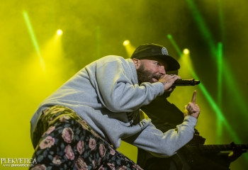 Limp Bizkit - Photo by Marc