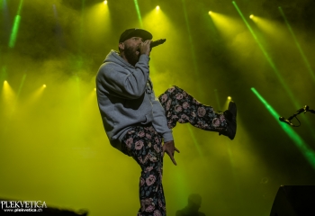 Limp Bizkit - Photo by Marc