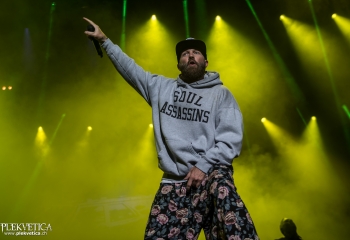 Limp Bizkit - Photo by Marc