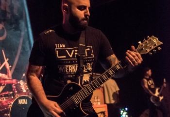 Lionheart - Photo by Marc