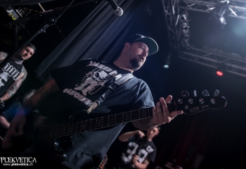 Lionheart - Photo by Marc