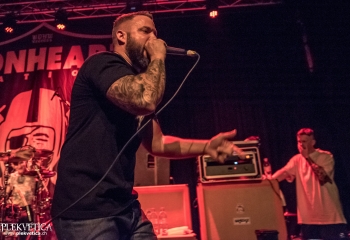 Lionheart - Photo by Marc