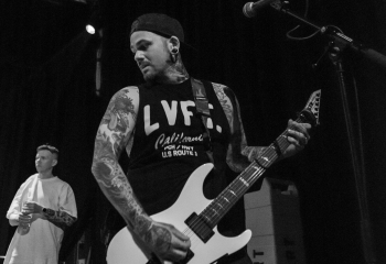 Lionheart - Photo by Marc