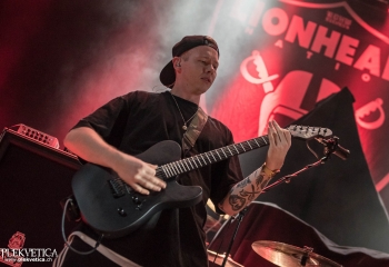 Lionheart - Photo By Marc