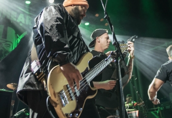 Lionheart - Photo By Marc