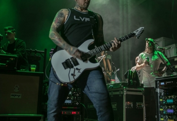 Lionheart - Photo By Marc