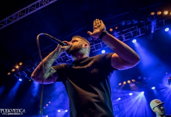 Lionheart - Photo By Marc