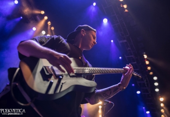 Lionheart - Photo By Marc