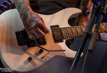 Lionheart - Photo By Marc