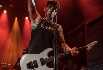 Lionheart - Photo By Marc