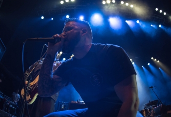 Lionheart - Photo By Marc