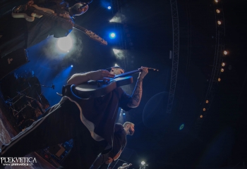 Lionheart - Photo By Marc