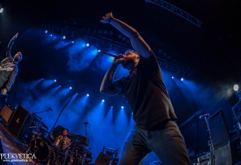 Lionheart - Photo By Marc