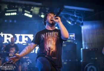 Lotrify - Photo By Dänu