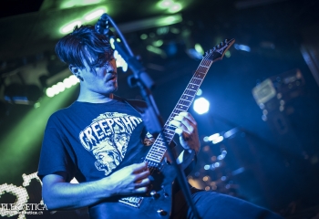 Lotrify - Photo By Dänu