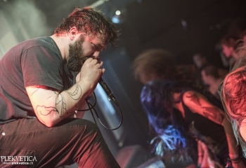 Lotrify - Photo By Dänu