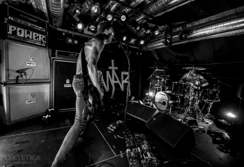 Mantar - Photo by Roli