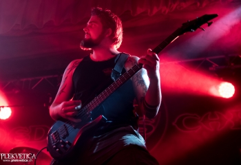 Medusa`s Child - Photo by Nati