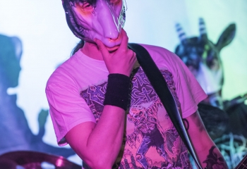 MILKING THE GOATMACHINE - Photo By Dänu