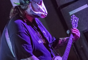 MILKING THE GOATMACHINE - Photo By Dänu