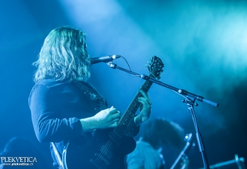 Motorowl - Photo By Dänu