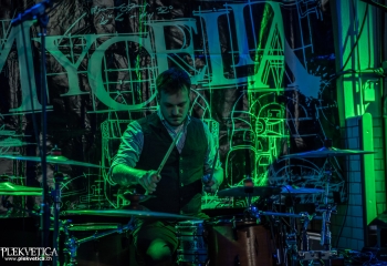 Mycelia - Photo by Marc