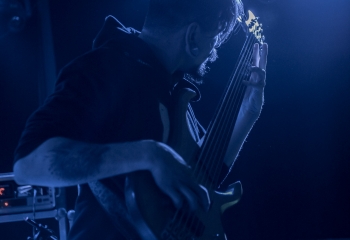 Mycelia - Photo by Marc