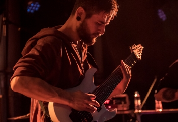 Mycelia - Photo by Marc