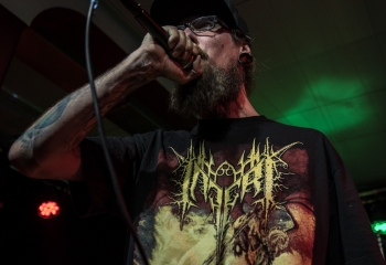 Mycelia - Photo by Marc