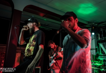 Mycelia - Photo by Marc