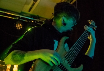 Mycelia - Photo by Marc