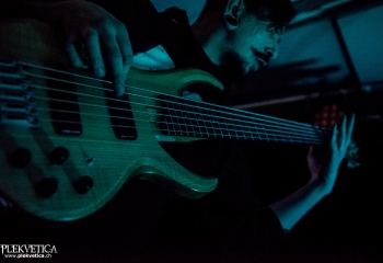 Mycelia - Photo by Marc