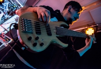 Mycelia - Photo by Marc