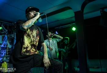 Mycelia - Photo by Marc