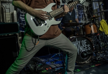 Mycelia - Photo by Marc