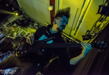 Mycelia - Photo by Marc