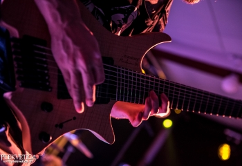 Mycelia - Photo by Marc