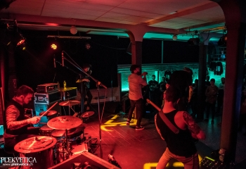 Mycelia - Photo by Marc