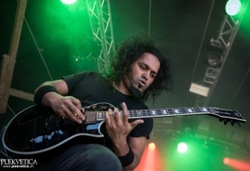 Nervecell - Photo by Marc