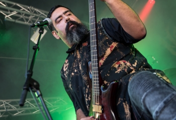 Nervecell - Photo by Marc