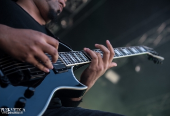 Nervecell - Photo by Marc