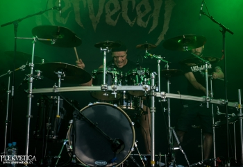 Nervecell - Photo by Marc