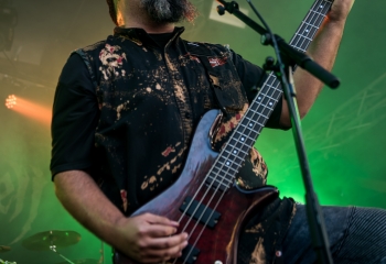 Nervecell - Photo by Marc