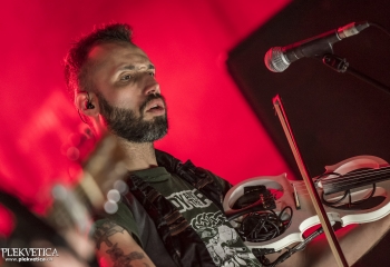 Paddy And The Rats - Photo By Dänu