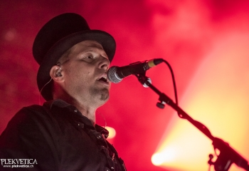 Paddy And The Rats - Photo By Dänu