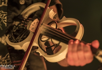 Paddy And The Rats - Photo By Dänu