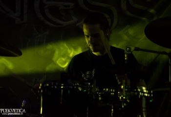 Pertness - Photo by Nati