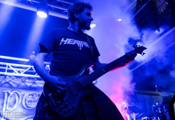 Pertness - Photo by Nati