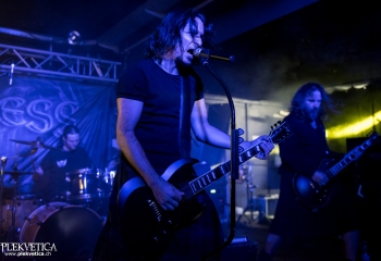 Pertness - Photo by Nati