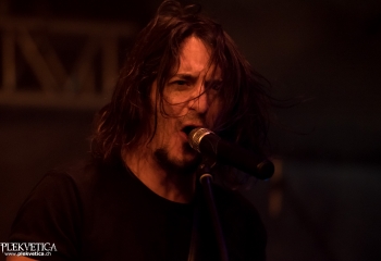 Pertness - Photo by Nati